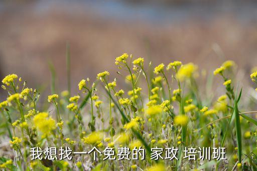 我想找一个免费的 家政 培训班