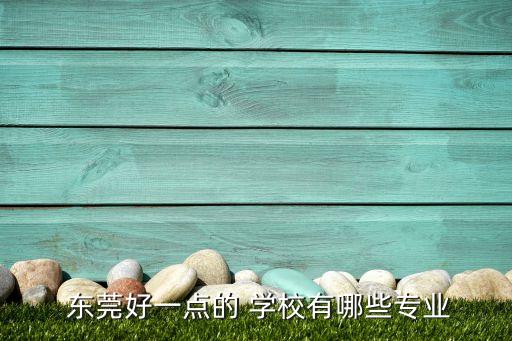  东莞好一点的 学校有哪些专业