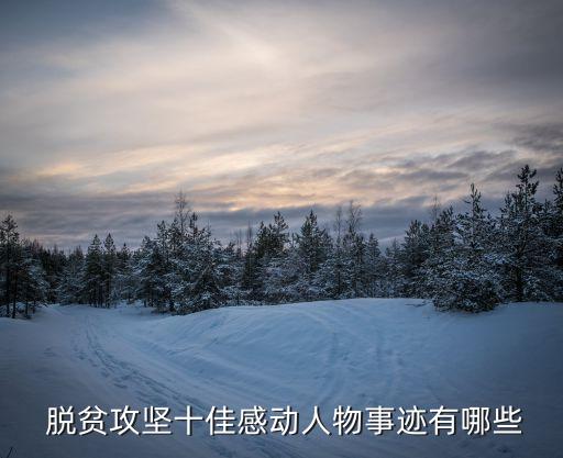  脱贫攻坚十佳感动人物事迹有哪些