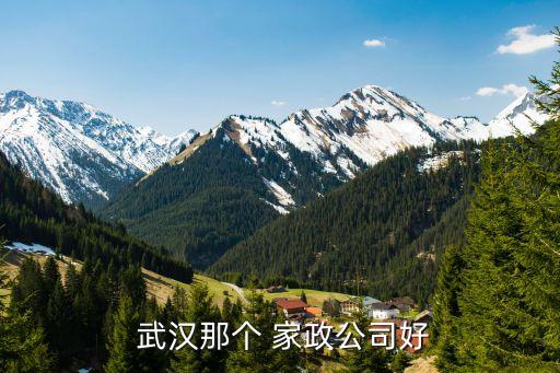  武汉那个 家政公司好