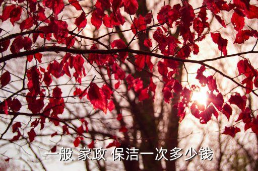 一般 家政 保洁一次多少钱
