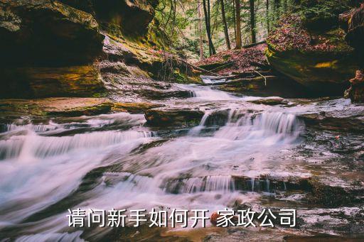 请问新手如何开 家政公司