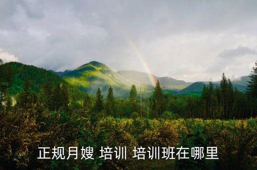 正规月嫂 培训 培训班在哪里