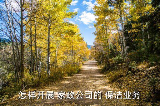 怎样开展 家政公司的 保洁业务