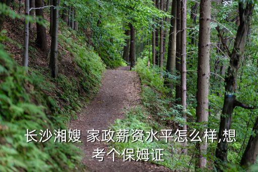  长沙湘嫂 家政薪资水平怎么样,想考个保姆证